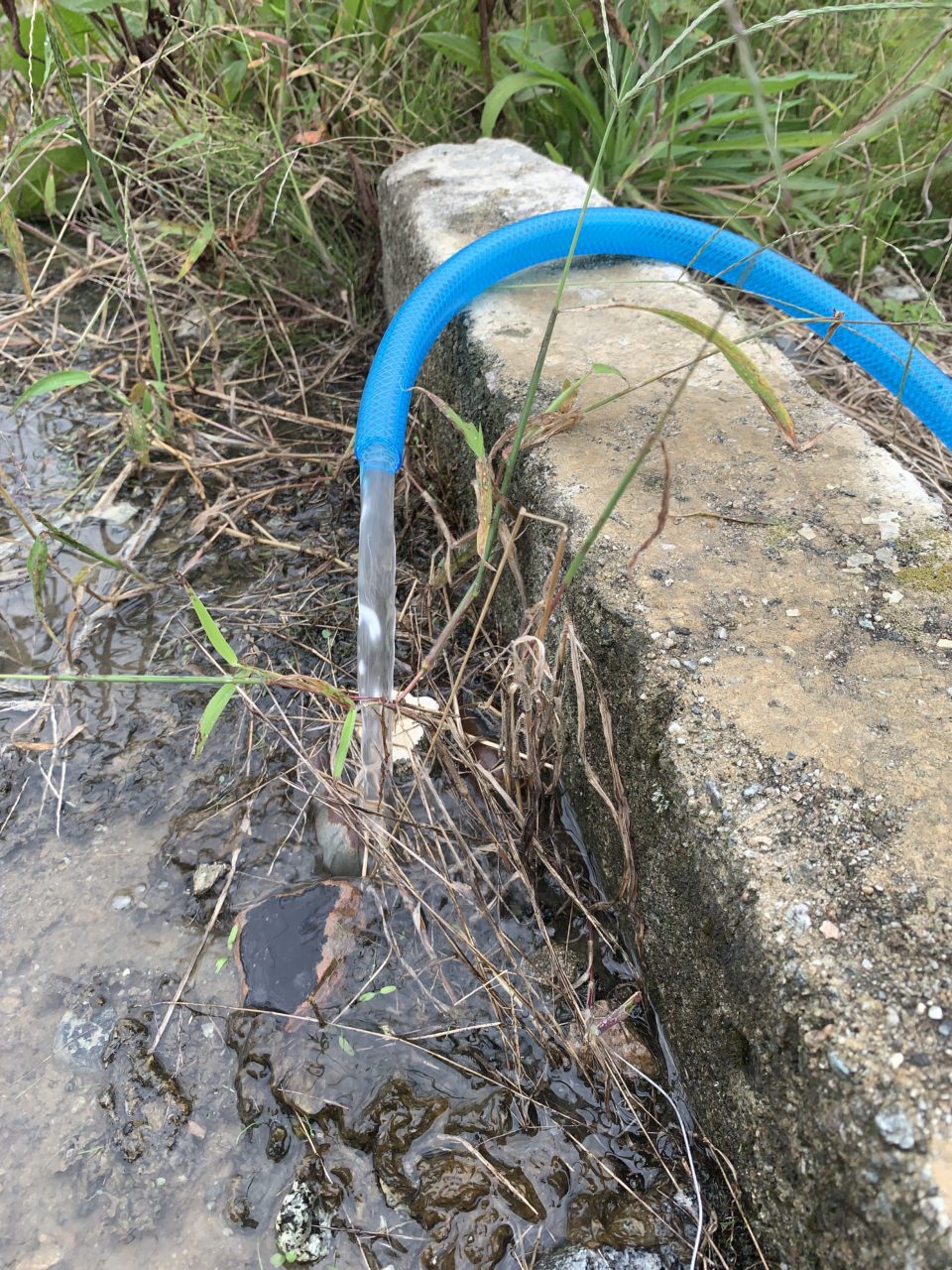 井戸水出ました